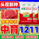 德豫中育1211小麦种子高产大穗白麦抗冻抗病矮杆分蘖强原种级冬小麦 中育1211【厂家直销 一袋一码】 【大户首选】21斤*1袋