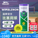 史莱辛格（Slazenger）网球温网官方用球豹子球耐打高弹训练球专业比赛球练习球铁罐装 3粒装铁罐-整箱24筒【340981】