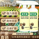 树竹草喷雾剂连根专用药喷雾多元植抑液正品通用性w 3瓶装【90％顾客选择】