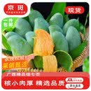 京觅广西百色桂七芒 净重4.5斤 单果200g+ 新鲜芒果水果源头直发包邮
