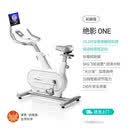 麦瑞克动感单车家用款健身器材有氧运动室内自行肥专用绝影one 【10.1吋彩屏】插电款-白色丨8KG飞轮组丨3