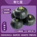 鲜七星贝贝南瓜进口源种板栗味粉糯香甜新鲜蔬菜轻食粉糯小南瓜 精选贝贝南瓜【净重7.3-7.5斤】