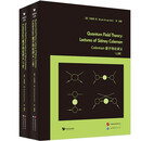 Coleman量子场论讲义（上下册）英文版 Quantum Field Theory: Lect