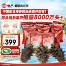 晓芹大连即食海参 400g 7-10只 辽刺参 海鲜水产