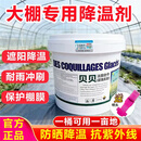 贝贝进口立凉大棚降温剂温室蔬菜剂拱棚降温立凉遮阳涂料厂家直销 5KG*20桶（送20个喷头）