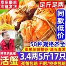 【活蟹】网兜蟹阳澄雨大闸蟹现货鲜活大螃蟹公母蟹河蟹中秋节礼盒 六月黄丨3.1-3.4两【5斤】16-17只