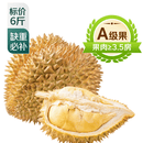 A级进口金枕鲜榴莲1粒约3kg(2-3kg)