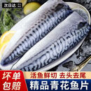 青花鱼片新鲜冷冻日式盐渍青占鱼鲐鲭鱼活鱼鲜切冷冻冰鲜水产 130-140g/片  5斤