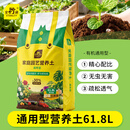 史丹利营养土61.8L大规格 养花通用型种植土花土家用种花种菜土壤