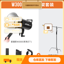 沃尔夫冈爱摄影系列W300S双色温直播led补光灯球形常亮打光灯拍摄灯柔光灯摄影棚拍照短视频主播美颜灯  爱摄影W300S摄影灯+横置款支架