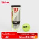Wilson威尔胜TITANIUM 训练网球罐装 3颗装【球上数字随机】
