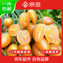 京觅郁南无核黄皮果 净重5斤不带枝 中大果 新鲜水果生鲜源头直发包邮