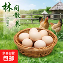 九华山新鲜鲜鸡蛋竹林虫草蛋林间早餐溏心蛋 40-50g生鲜 40枚