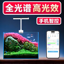 尼特利水族时光mini水草灯led全光谱鱼缸灯植物补光灯小型草缸支架夹灯 mini 水草灯【蓝牙版】