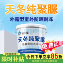 宅小宝天冬纯聚脲防水涂料屋顶屋面楼房顶裂缝渗水室外防晒耐高温防水胶 [灰色]20kg/施工1遍=40平方