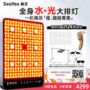 SEAYEO昔又大排灯Max光子嫩肤美容仪红蓝光面罩面膜仪家用美容仪器 Max