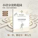 小径分岔的花园(博尔赫斯全集） 小说