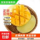 四川凯特 芒果 新鲜水果甜心芒果热带现摘青黄皮 芒果整箱水果 凯特芒带箱2斤(单果200g+)净重1.6斤