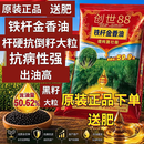 旺园兴铁杆金香油高产杂交油菜种子粒粒饱抗病抗倒伏高出油可机收 一袋 80克 送肥