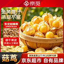 京觅东北姑娘果 3斤装 灯笼果黄菇娘洋菇茑 新鲜水果 源头直发