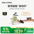 MOKFITNESS(摩刻)一K10磁阻静音划船机家用智能划船器健身训练器材 K10ES旗舰版（山葵绿）自发电