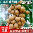 正宗广东老树石硖储良龙眼现摘现发桂圆时令生鲜新鲜水果京东冷链 【石硖龙眼】果园现摘现发 净重4.5斤