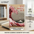 现货 送明信片 代数几何基础 平装 The Rising Sea: Foundations of Algebraic Geometry 9780691268675
