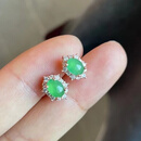 歌盼 天然冰种阳绿蛋面翡翠耳钉 女款缅甸A货玉石耳环925银镶嵌满绿