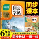小学语文同步字帖六年级上册 适用人教版教材配套使用 小学生练字帖一课一练 规范学生字体每日一练 专项训练书写字帖控笔训练