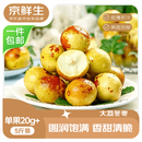 京鲜生陕西大荔冬枣 净重5斤 单果20g+ 生鲜水果 源头直发包邮