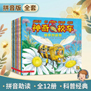 神奇校车 图画书拼音版 全12册 科普百科 1-2年级小学生阅读 暑假作业 一升二暑假衔接 小升初暑假衔接 课外阅读 学习辅导 全新注音版重磅上市，1-2年级的小学生阅读更流畅！