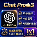正规g软p件t订5x阅20x升级plus正版办公财务智能软件独享月套餐 20刀【Plus】