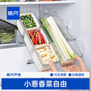 吱凡日本冰箱整理盒收纳盒香料香菜大小葱姜蒜水果保鲜盒神器食品级 【黑色组合装】分隔款2个+常规款2个