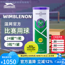史莱辛格（Slazenger）网球温网官方用球豹子球耐打高弹训练球专业比赛球练习球铁罐装 3粒装铁罐-整箱24筒【340981】