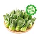 【高原夏菜】供港基地小油菜300g(青仔)