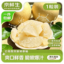 京鲜生云南西双版纳傣柚1粒装 单果600-800g生鲜水果 源头直发包邮