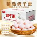京鲜生鲜鸽子蛋杂粮喂养白鸽宝宝辅食礼盒30枚550g 京东自营源头直发