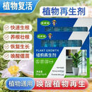 植物再生复活花卉绿植盆栽通用光杆发黄发财树多肉生长营养液gl 5盒装30支【家庭常用】4-7盆家用盆栽可用3-6个月