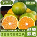 京觅江西寻乌蜜桔4.5斤净重单果55mm+橘子当季青皮青桔蜜水果源头直发
