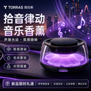图拉斯（TORRAS）车载香薰新款高档汽车香水持久留香男士淡香车内除味七夕香氛摆件 【2026新款】耀黑-暮色回响+蓝调杜松