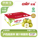 京鲜生 太阳雪梨 云南丁香梨 净重4.5斤 单果100g+ 新鲜水果 源头直发