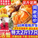 【活蟹】网兜蟹阳澄雨大闸蟹现货鲜活大螃蟹公母蟹河蟹中秋节礼盒 六月黄丨1.2-1.5两【2斤】16-17只