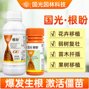 国光根盼5%吲丁萘乙酸生根壮苗剂植物通用移栽生根剂扦插粉液农药25ml