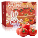 京地达山东普罗旺斯西红柿4.5斤彩箱装自然熟沙瓢番茄新鲜蔬菜