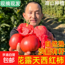 【东东买菜】现摘高原农家西红柿自然熟新鲜普罗旺斯沙瓤大番茄 2斤 【精选超市同款装】
