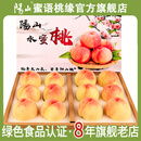 阳山水蜜桃 正宗无锡阳山白凤湖景水蜜桃 新鲜时令水果桃子整箱礼盒 一级果4-5两12个礼盒装净重5斤多