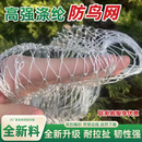 高强涤纶合股防鸟网果园果树大棚防鸟天网户外鱼塘养殖涤纶防护网 40米宽 长度50米【网孔2.0厘米】涤纶合股高强度抗UV