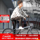 大行（DAHON）折叠自行车20英寸8级变速经典P8单车KBC083 消光灰经典版--京仓