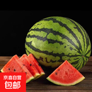 正宗美都带籽麒麟西瓜新鲜水果美都麒麟西瓜薄皮多汁京东包邮 4-5斤