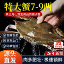 【冷冻】昌鲜园舟山梭子蟹鲜活冷冻7-9两/只 5斤装 26年新蟹源头直发包邮